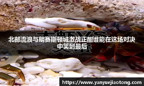 北部流浪与朗赛斯顿城激战正酣谁能在这场对决中笑到最后